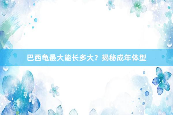 巴西龟最大能长多大？揭秘成年体型